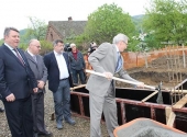 Ambasador SAD-a položio kamen temeljac za Sigurnu kuću u Vranju 